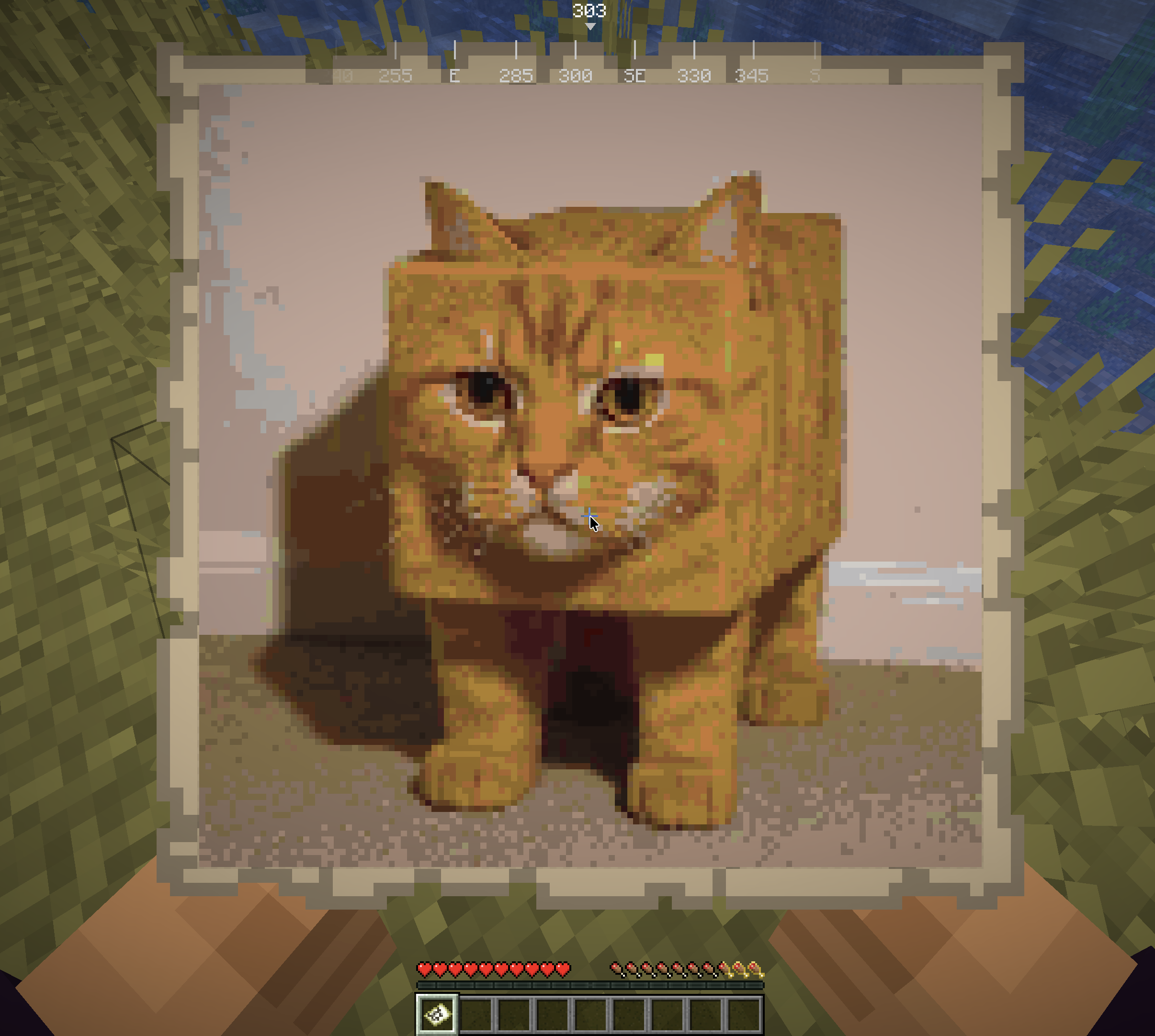 A custom image map displayed in item frames on a wall