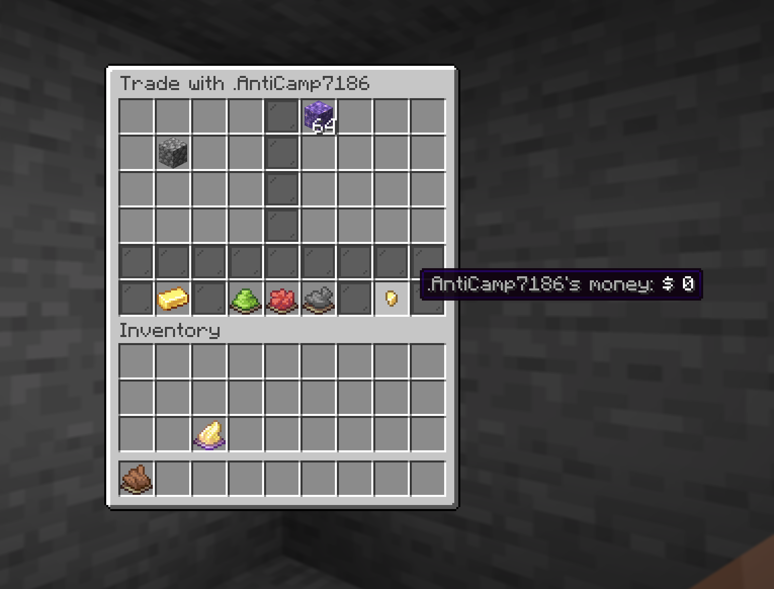 The /trade window showing the other player's offered items and their money total